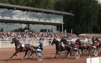 Fédération Belge des Courses Hippiques